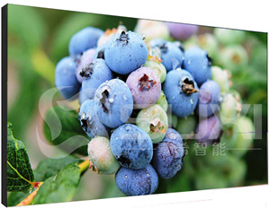 上海液晶拼接屏價格不斷壓低的原因有哪些呢？